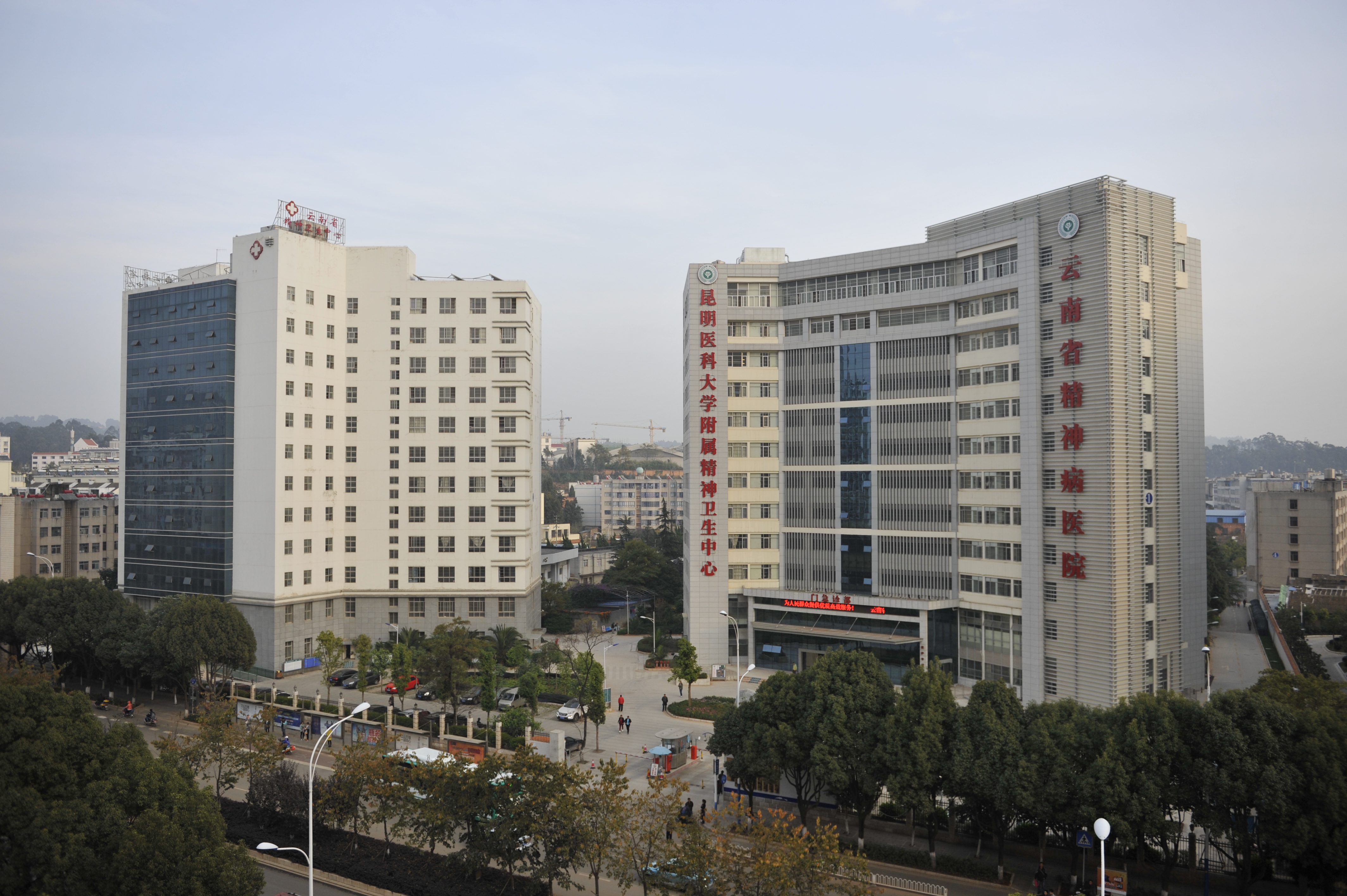 云南省精神病醫(yī)院2020年昆明市科研課題結(jié)題會(huì)圓滿結(jié)束