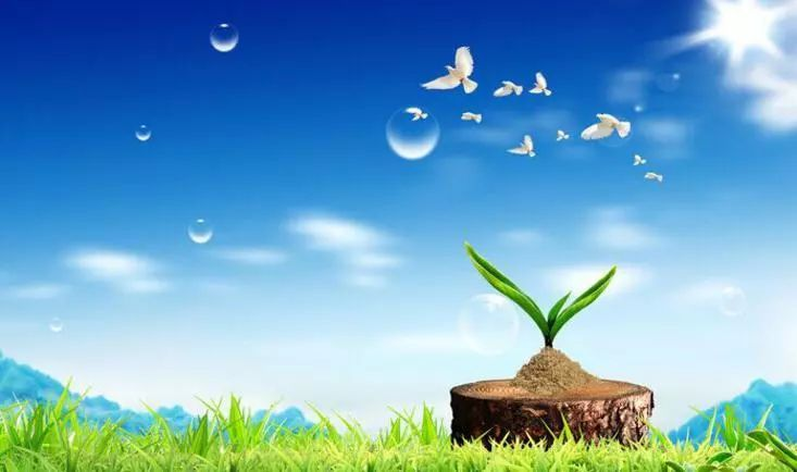 健康與心理健康